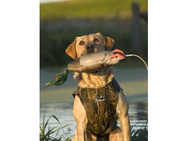 Neoprenhundeweste