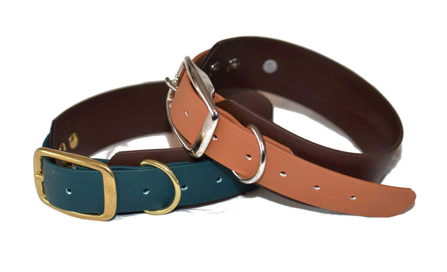 Hundehalsband Special Edition