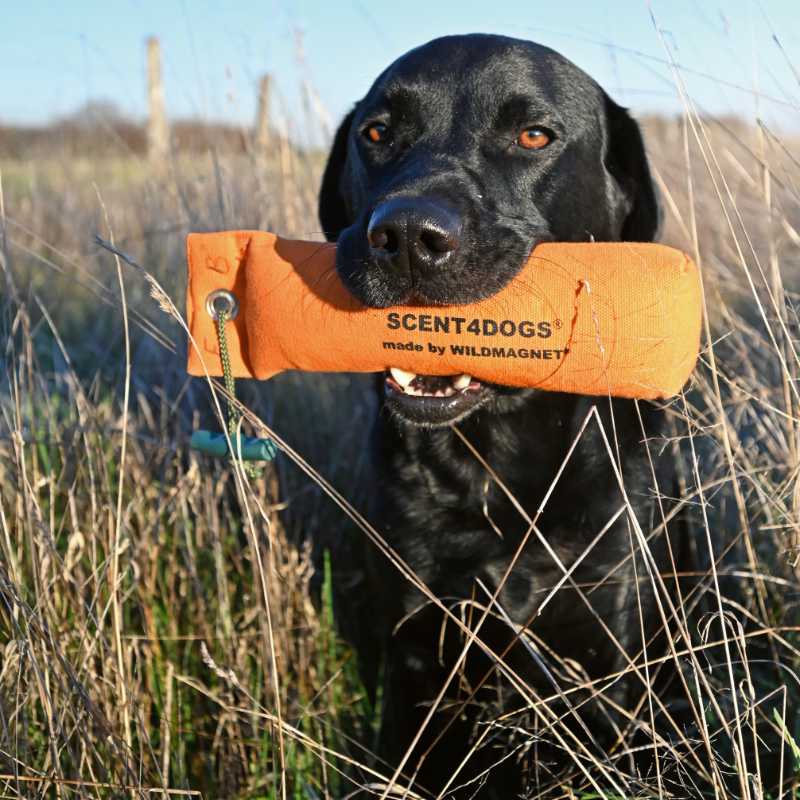 SCENT4DOGS® Fasan/Pheasant Duftstoff für Dummys