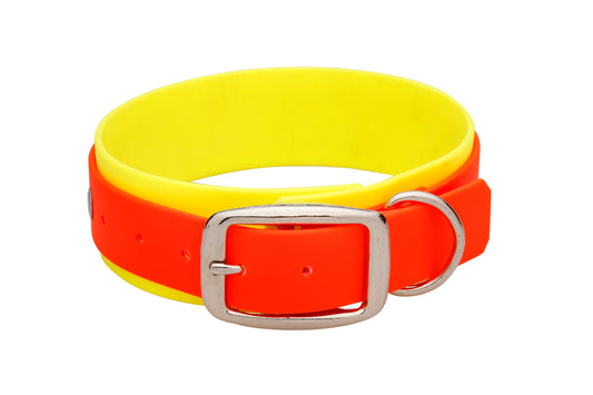 3,8 cm Halsband Biothane® zweifarbig Doppelsteg