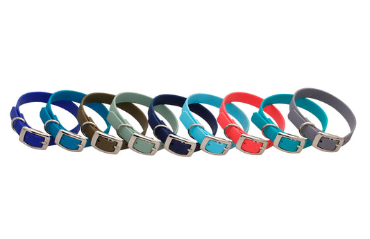 Welpenhalsband bunt