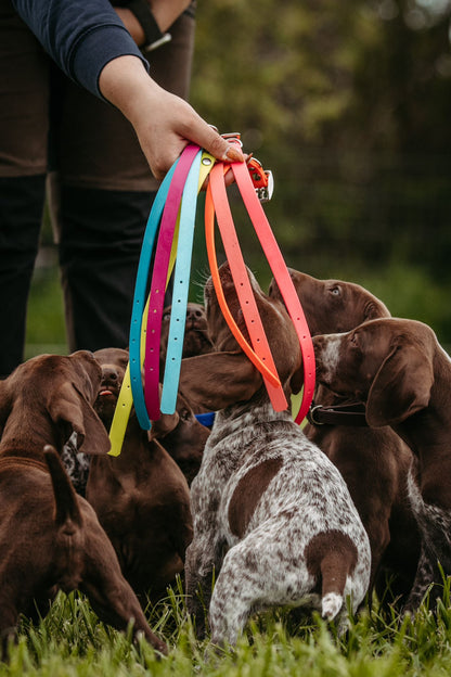 Welpenhalsband aus Biothane®