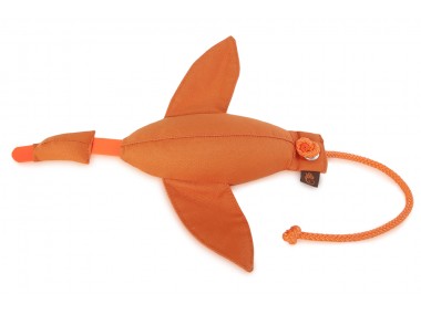 Entendummy orange