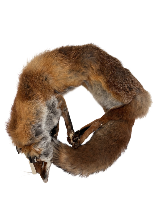 Fuchsdummy 5 kg