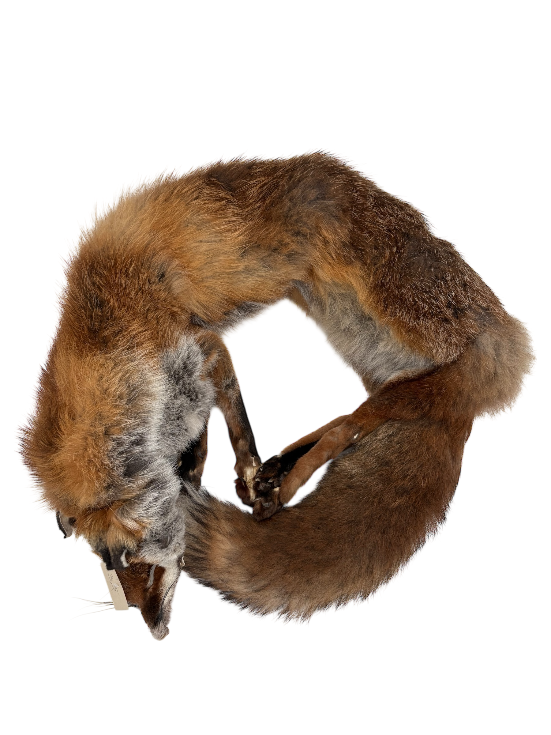 Fuchsdummy 4 kg