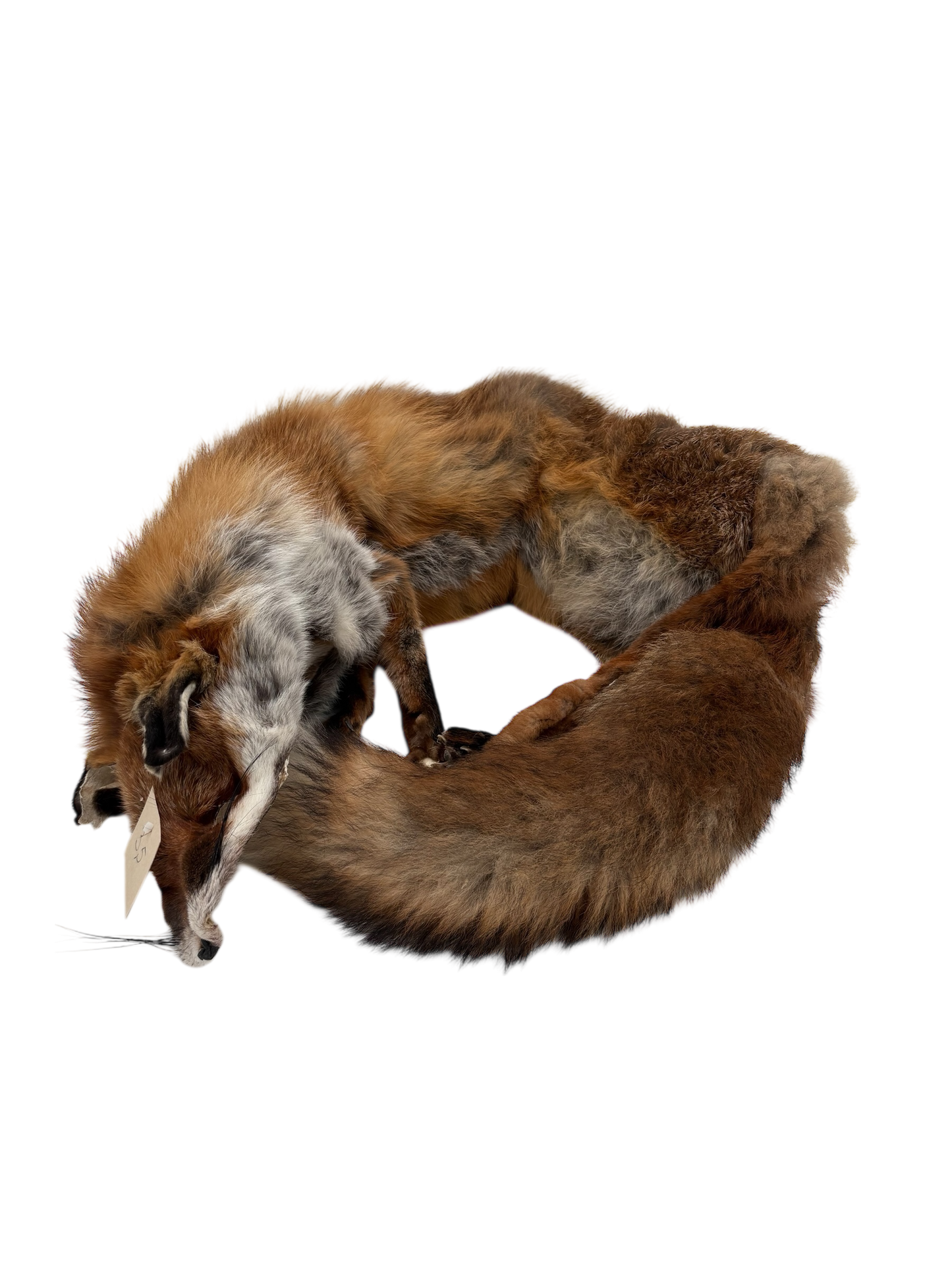 Fuchsdummy 3-teilig 5,3 kg regional