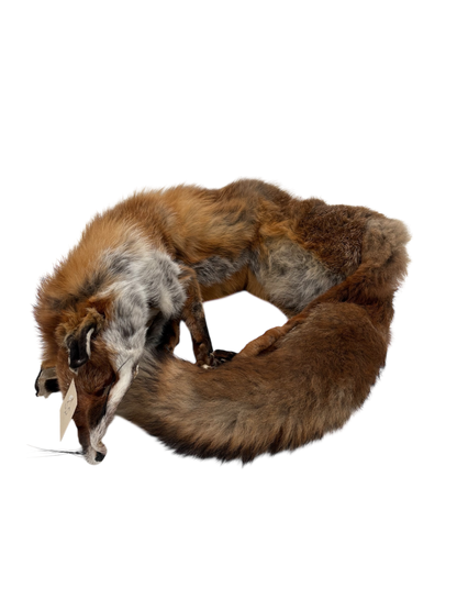 Fuchsdummy 3-teilig 5,3 kg regional