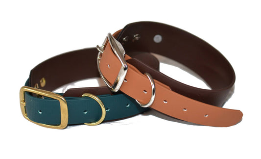 Hundehalsband Special Edition